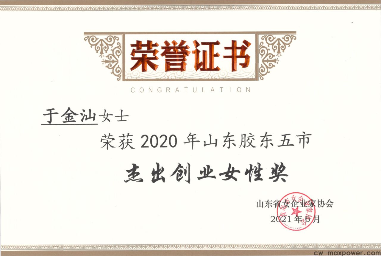 喜报!于金汕总经理荣获2020年山东胶东五市杰出创业女性奖(图2) 喜报!于金汕总经理荣获2020年山东胶东五市杰出创业女性奖(图2)